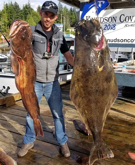 Where Is The Best Place To Catch Halibut In Alaska at Jessica Dowie blog