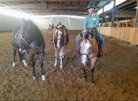 Ranch Riding and Handiness Techniques with Jason Drass, New Beginnings ...