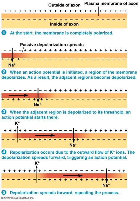 Continuous Conduction 的图像结果