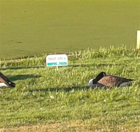 Minnechaug Golf Course - All You Need to Know BEFORE You Go (2025)