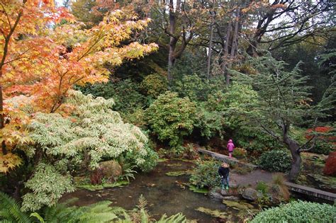 Around Seattle - Almost Weekly Pics: October 25, 2015 - Kubota Garden