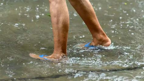 केरल में Leptospirosis के कारण गई 41 लोगों की जान, जानें इसके लक्षण और ...