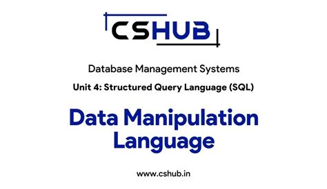 Data Manipulation Language 的图像结果