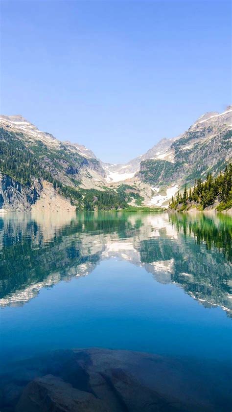 Phone Background 的图像结果