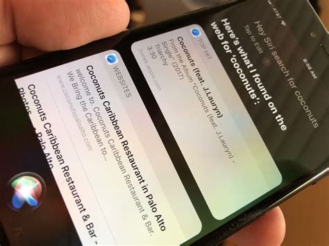Mac iOS Bing 的图像结果