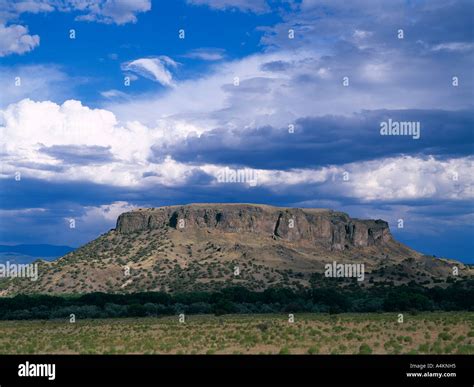 Bdp0010 hi-res stock photography and images - Alamy