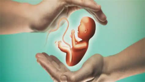 Exclusive: All you need to know about egg-freezing procedure for late ...