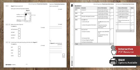 Year 7 Cells Test | KS3 Cells and Organisation Practice Exam
