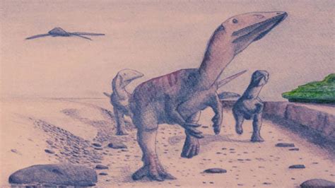 Dinosaur species may shed new light on megaraptorids