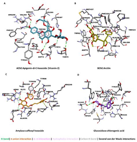 Differential Metabolomic Fingerprinting of the Crude Extracts of Three ...