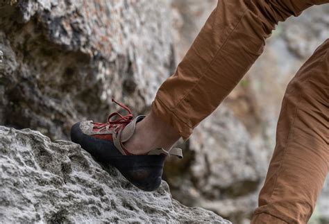 The 9 Best Beginner Climbing Shoes of 2025 (Buying Guide)