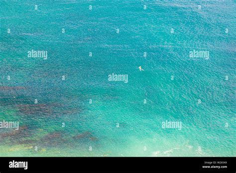 Swimming Men Top View 的图像结果