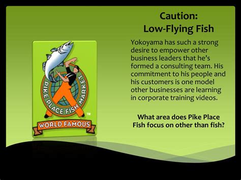 Ownership 的图像结果