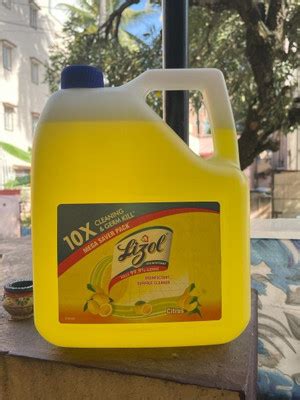 CLOROX Liquid Bleach Regular 500 ml Regular Price in India - Buy CLOROX ...