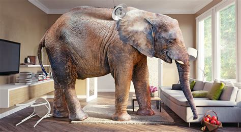 Home :: Goshen Floor Mart