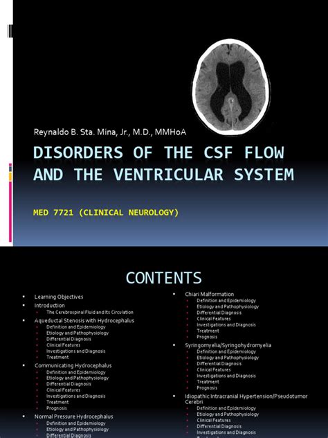 CSF Ventricular System 的图像结果