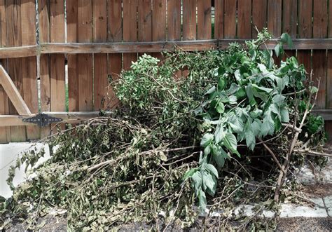 Image result for Yard Waste Disposal