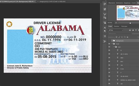 Image result for Alabama Drivers License