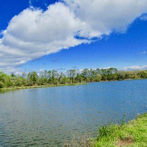 TIMBERLANE RAVINE PARK (2026) All You Need to Know BEFORE You Go (with ...