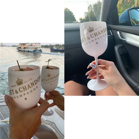 Buy Wisfunlly Wine Glasses, PARTY White Champagne Moet Chandon Acrylic ...