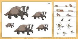 Wild Animals Preposition Activity | Teaching Resource
