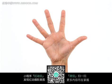 五指张开的手部特写图片免费下载_红动中国