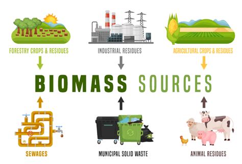 Image result for How Does Biomass Energy Work