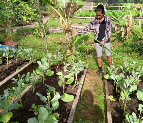 Image result for Graph Algorithms Application