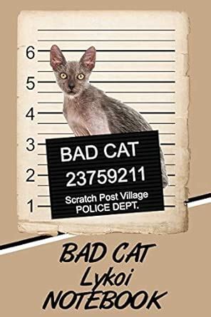 Bad Cat Lykoi Notebook : Amazon.in: Books