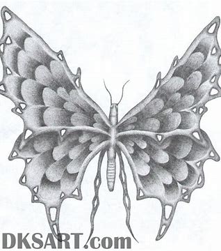 drawing money plant