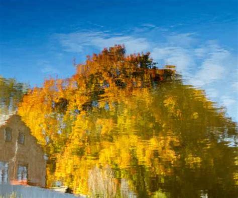 Image result for Ink Pattern Drawing