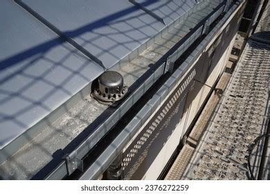 Image result for Classification Study Guide