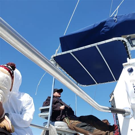 Shell Island Snorkel & Dolphin Cruise from Panama City Beach 2021