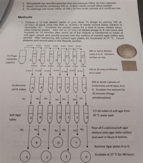 Basic Virus Structure 的图像结果