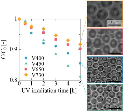 Double-Inverse-Opal-Structured Particle Assembly as a Novel Immobilized ...