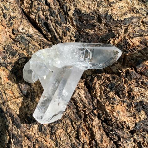 レコードキーパー(Record Keeper)/ 成長干渉水晶(Growth Interference)/セルフヒールド(Self ...