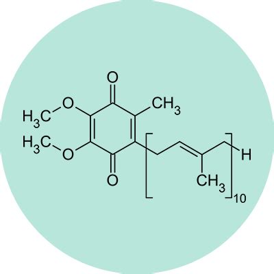 Our Herbs – Millennium Herbal Care Limited