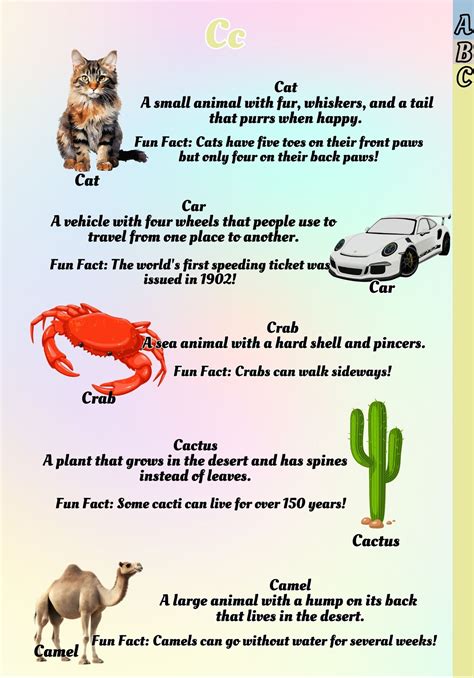 A KID’S FRIENDLY PICTURE DICTIONARY – tinderas.com