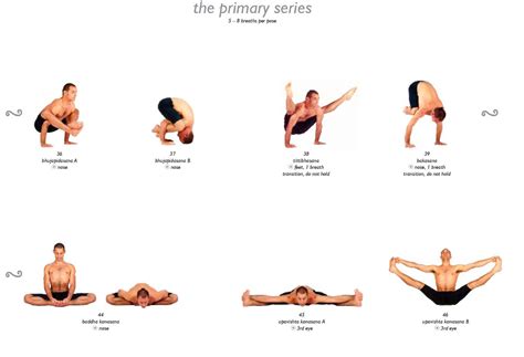 Yoga Poses Easy: 811 ALL NEW YOGA SITTING POSES NAMES