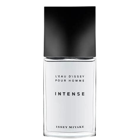 Issey Miyake L'Eau D'Issey Pour Homme Intense Eau De Toilette Men (Dec ...