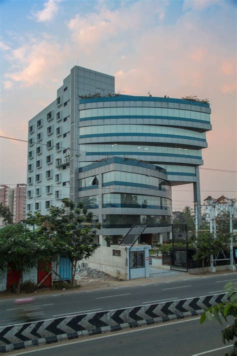 Mayflower® Valencia | Mayflower