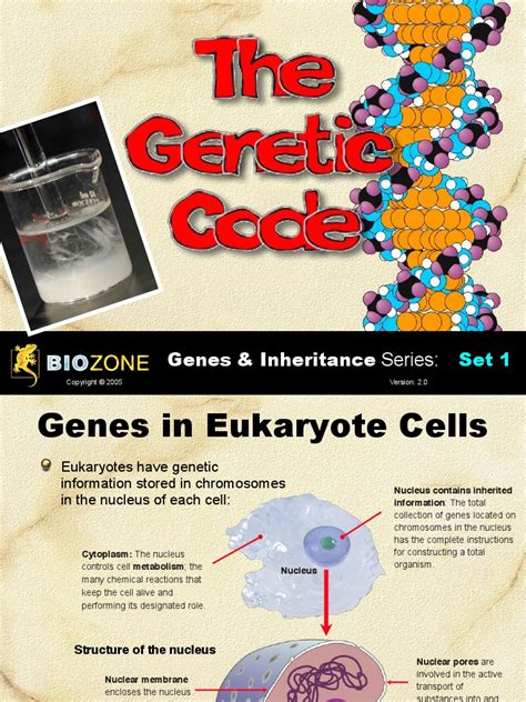 Genetic Code PDF 的图像结果