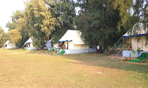 Chilika Nature Camp Odisha | OD Travels