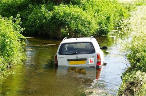Learner Permit Insurance 的图像结果