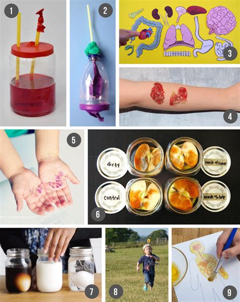 Life Science Experiments 的图像结果