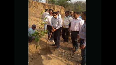 In boost to tourism, 19-acre herbal garden to open in Gurugram next ...