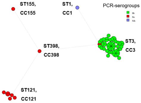 Characterization and Antibiotic Resistance of Listeria monocytogenes ...