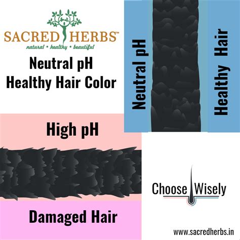 Super Value Pack Dark Brown Hair Color – Sacred Herbs