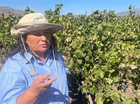 CUMMINS TOUR (2026) All You Need to Know BEFORE You Go (with Photos ...