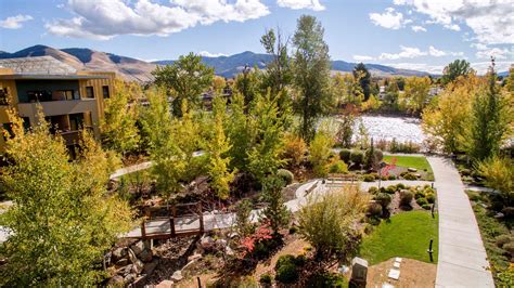 Meetings, Events and Training